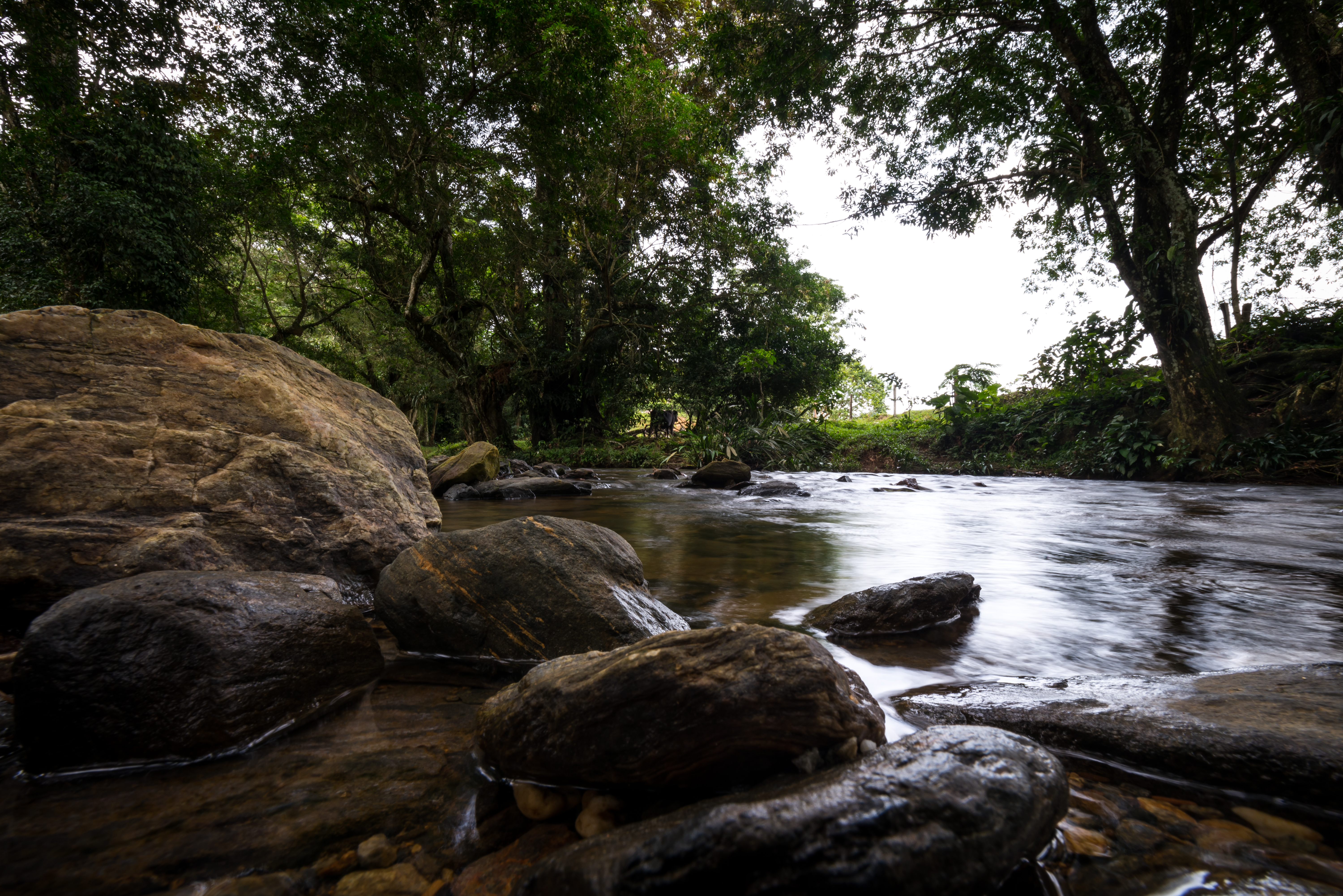 Cuenca Río Claro, Antioquia.