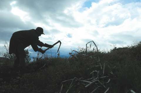 En el presupuesto de 2020, desfinanciaron la Reforma Rural Integral: investigador