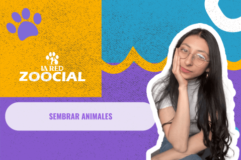 Maricultura: el cultivo de animales en el mar
