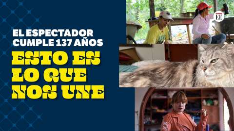 No nos dejemos dividir más, busquemos lo que nos une