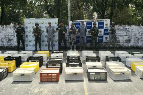 Incautan 2.7 toneladas de perecederos en Arauca