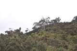 El sendero que unirá a Usme con Torca