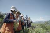 Primera expedición forestal: caminando los bosques colombianos