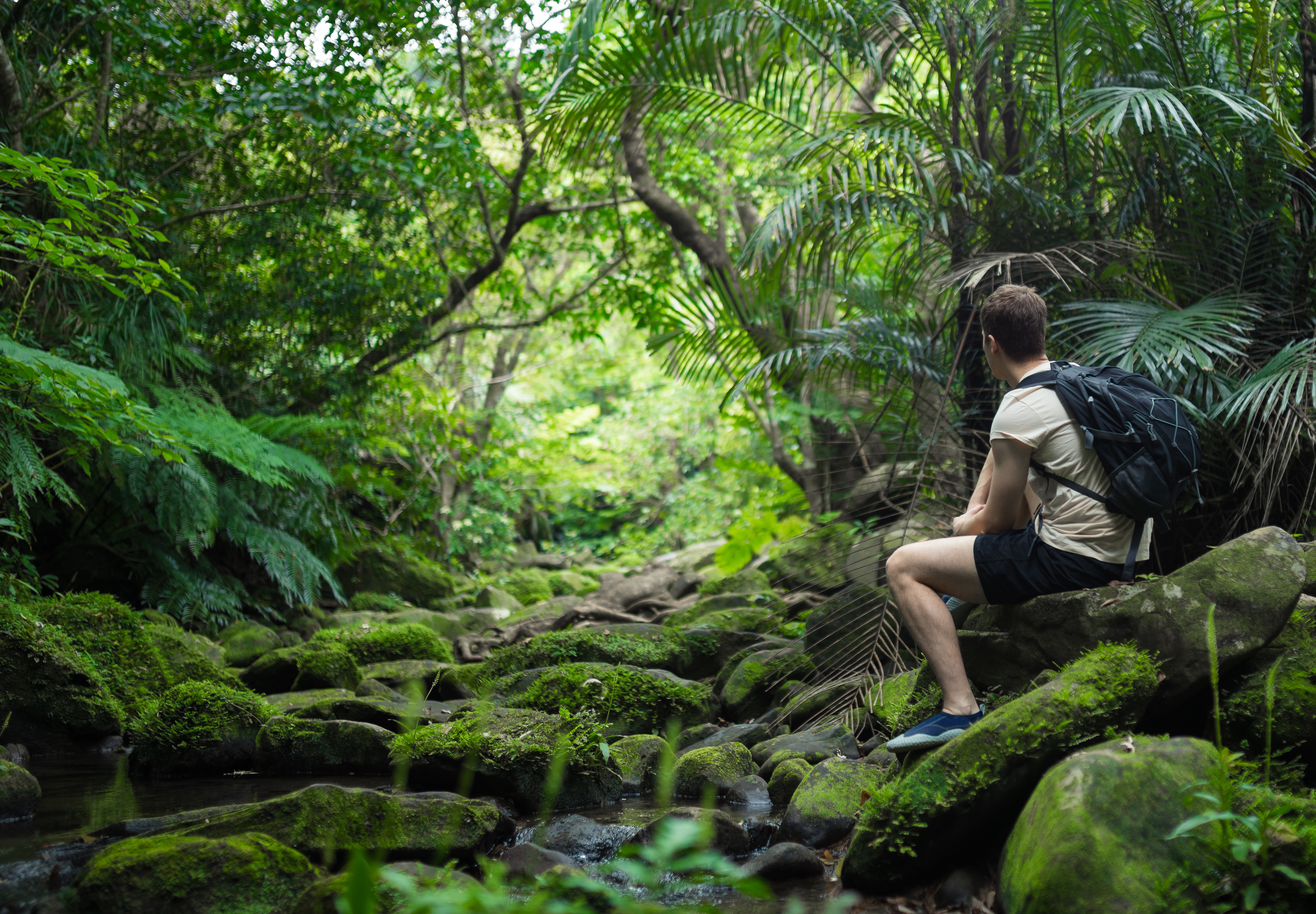 El turismo comunitario en la región amazónica colombiana representa una estrategia vital para el desarrollo sostenible de la región.