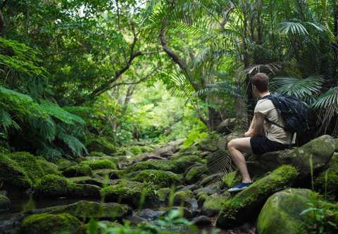 Expedición selvática: cinco planes imperdibles en la Amazonia colombiana