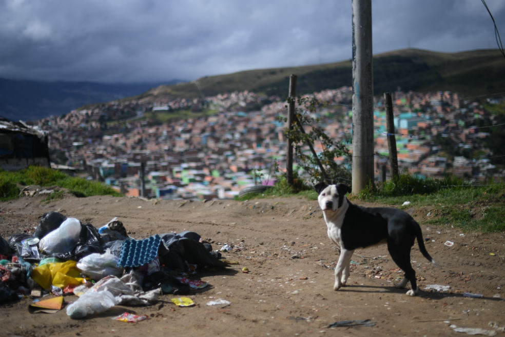 Fotografía: Cristian Garavito