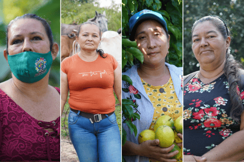 Las apuestas de las excocaleras para vivir en la legalidad