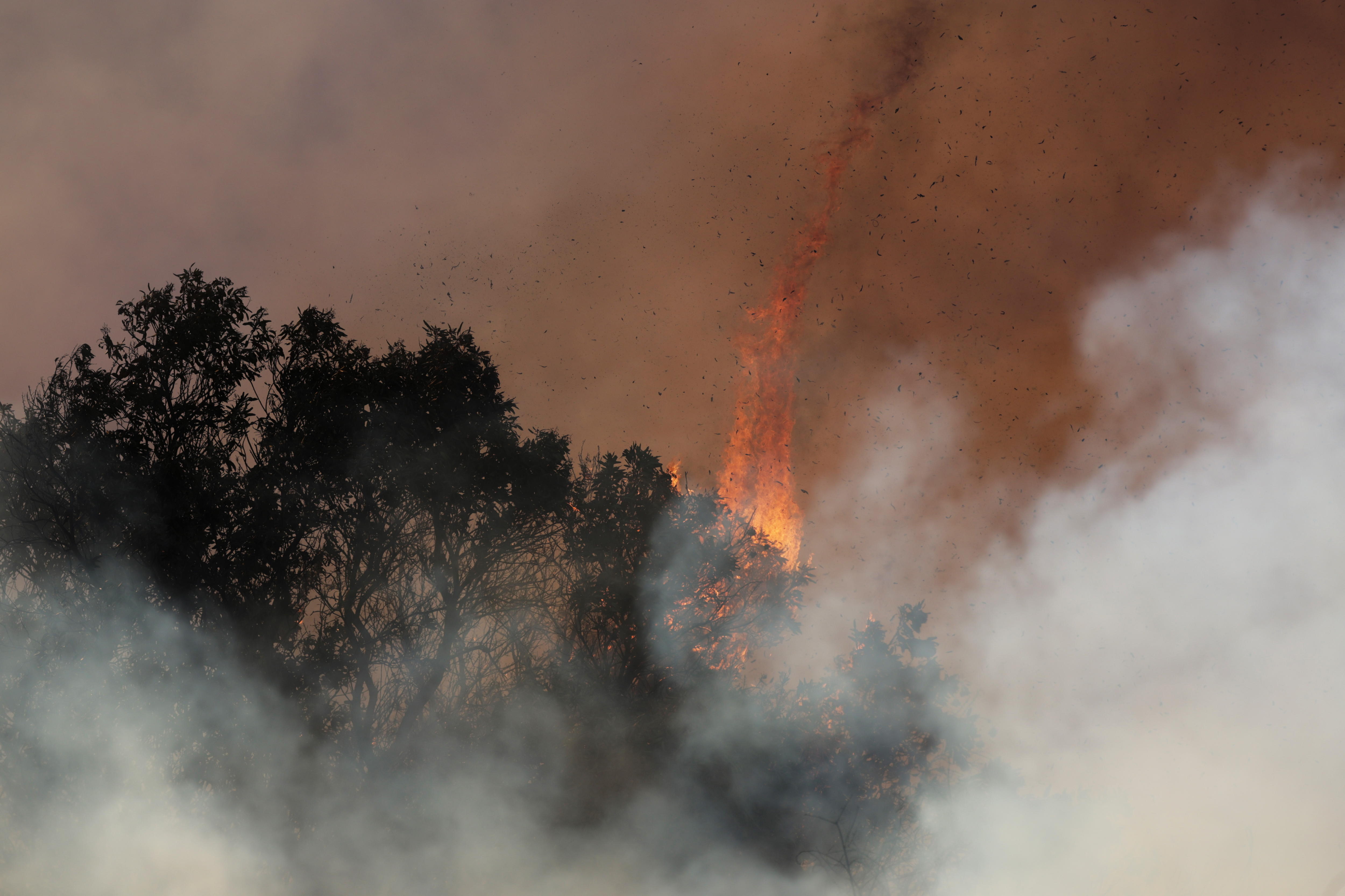 Los Angeles (United States), 10/01/2025.- Flames ignite in brush from the Palisades wildfire in the Pacific Palisades neighborhood of Los Angeles, California, USA, 10 January 2025. Multiple wildfires continue to burn across thousands of acres in Southern California, destroying thousands of homes and forcing people to evacuate areas throughout the Los Angeles area. According to the California Governor'Äôs office, more than 7,500 firefighting and emergency personnel are involved in response efforts. (incendio forestal) EFE/EPA/ALLISON DINNER