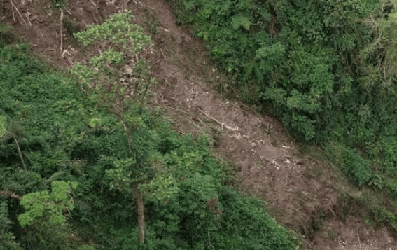 Los equipos de la Secretaría de Ambiente y Gestión del Riesgo de Ibagué realizaron sobrevuelos con drones para identificar los puntos afectados.