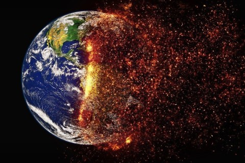 No consumir carne y otras formas de combatir el cambio climático desde casa