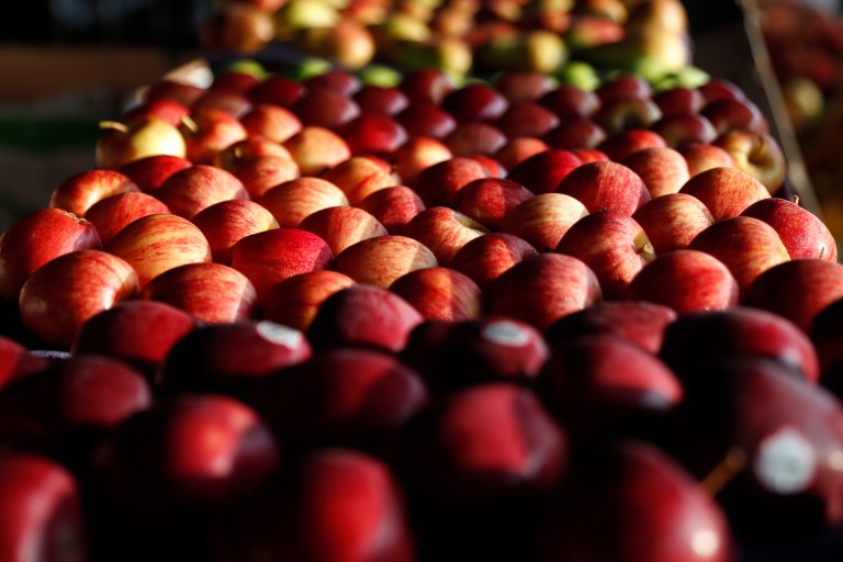 El exceso de sal en la tierra amenaza la producción mundial de alimentos