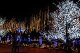 Se apagan las luces de navidad y se enciende un 2025 con Energías Limpias en Colombia
