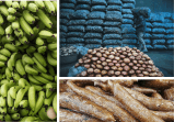 Papa, yuca y plátano: así va la producción de los alimentos más caros en Colombia