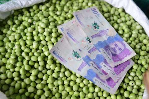 Los 10 alimentos que más han subido y bajado de precio este año en Colombia