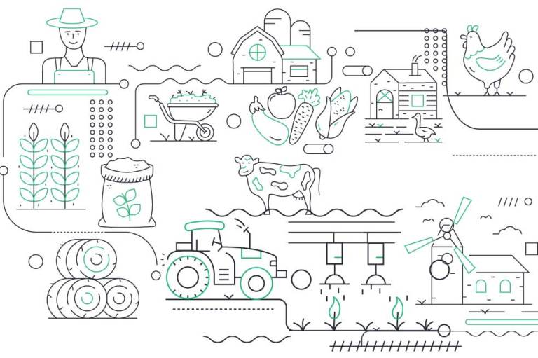 ¿Qué pasó con el agro en 2025 y que viene para 2026?