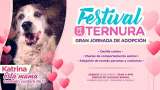 Distrito organiza una jornada de adopción protagonizada por las "mamás perrunas"