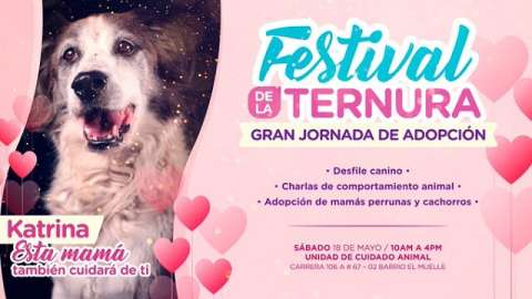 Distrito organiza una jornada de adopción protagonizada por las "mamás perrunas"