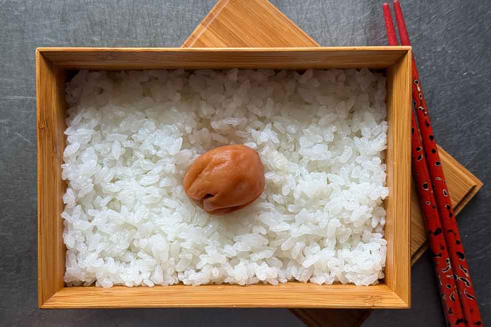 Japón