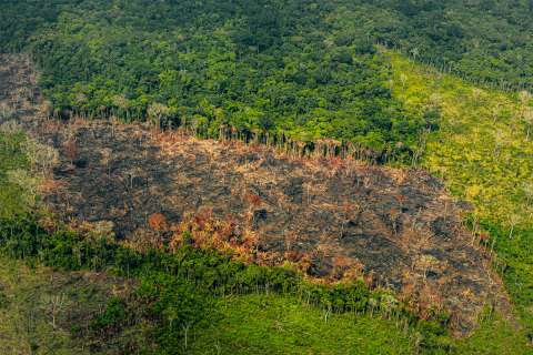 Iván Mordisco, Jhon 40 y Gentil Duarte procesados por destrucción de la Amazonía