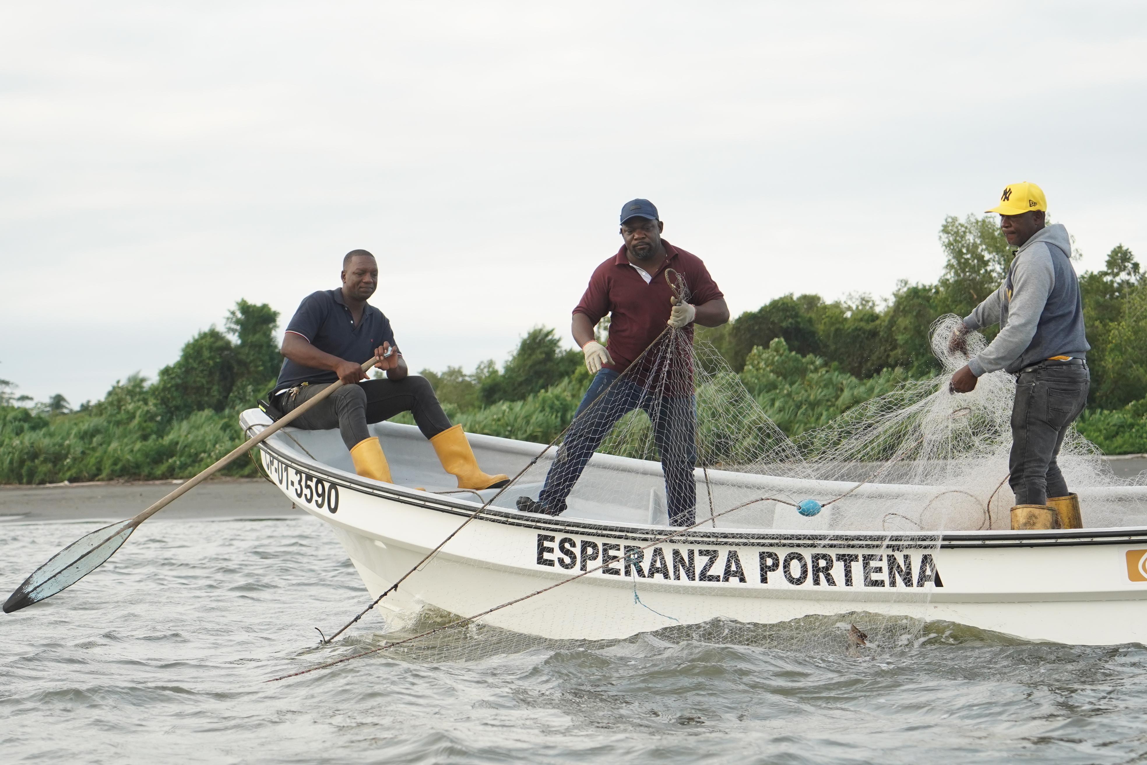El gobierno está reglamentando el aprovechamiento de las capturas incidentales por parte de las comunidades costeras. Es decir, capturas que no son intencionales.