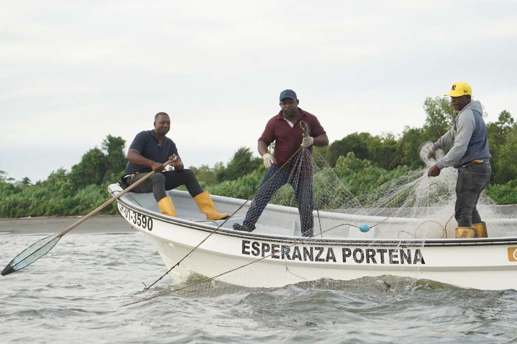 El gobierno está reglamentando el aprovechamiento de las capturas incidentales por parte de las comunidades costeras. Es decir, capturas que no son intencionales.