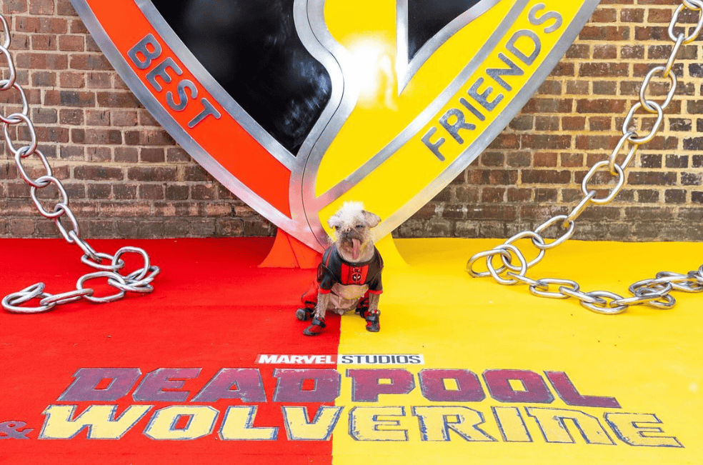 Dogpool, la nueva mascota de Marvel