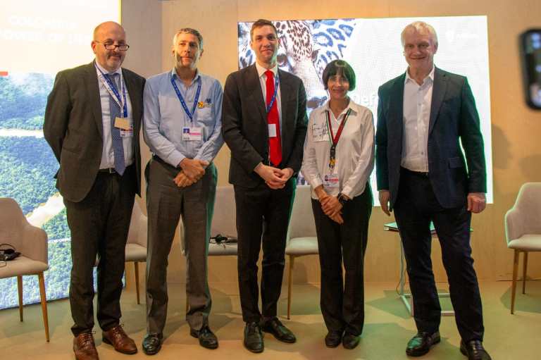 R. Unido y Noruega dan otros US $34 millones para combatir la deforestación amazónica
