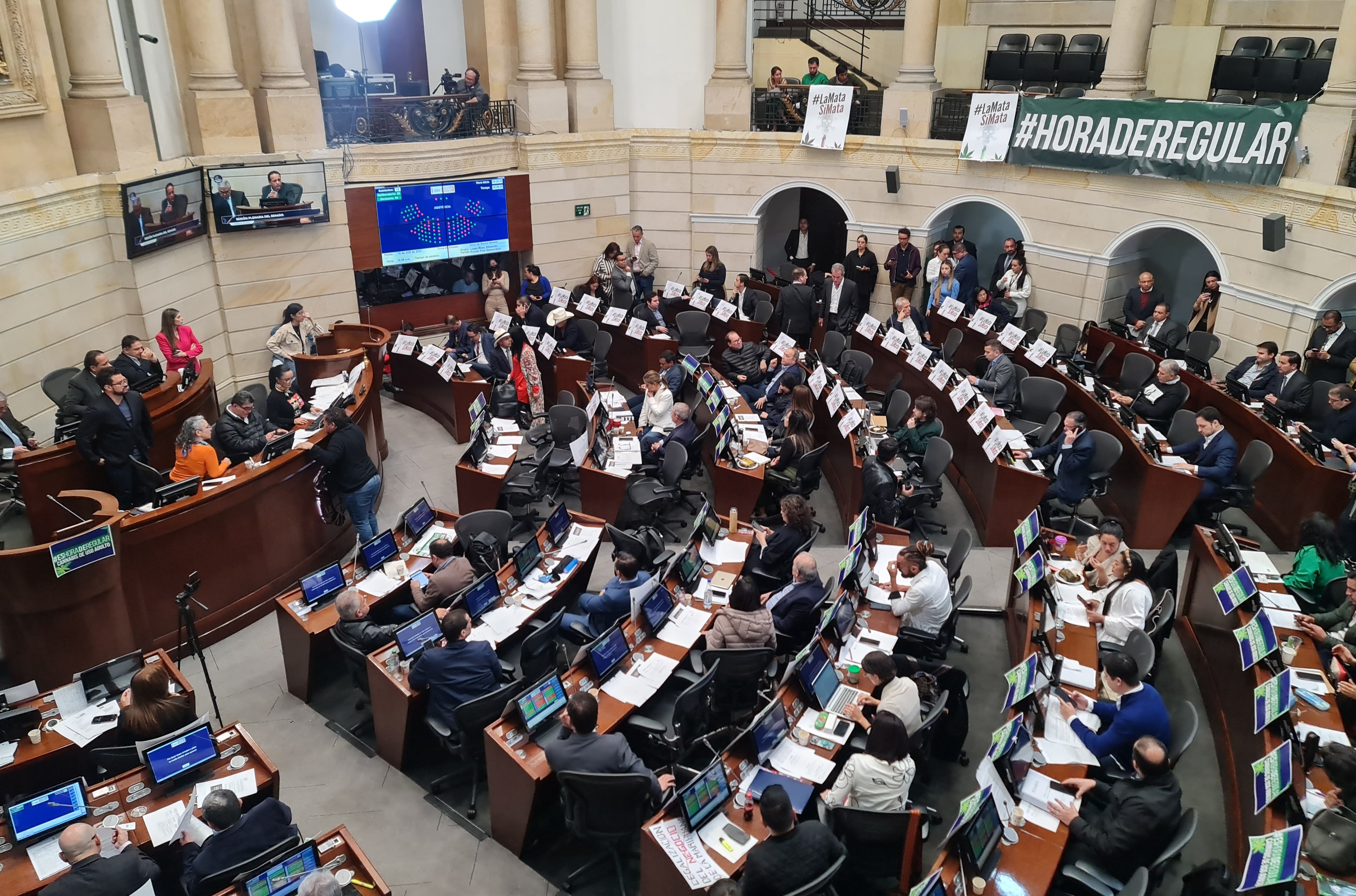 El último debate de la regularización del cannabis de uso adulto es en la plenaria del Senado.