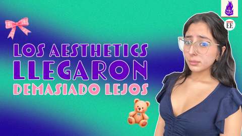 Aesthetics: microtendencias de redes sociales que estandarizan la imagen de la mujer