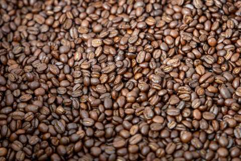 Café, cacao y palma enfrentan el reto de cero deforestación para llegar a mercados de la UE