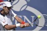 Djokovic eliminó a Ferrer y defenderá el título ante Murray