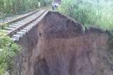 Vuelve el tren a Buenaventura