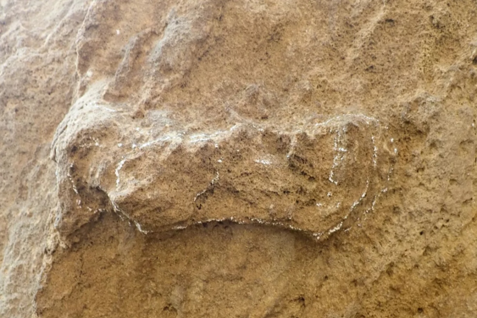 Esta sería la huella de Homo Sapiens más antigua.