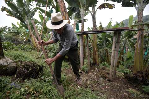 Piden a la Fiscalía investigar supuestas amenazas a campesinos en Meta, Magdalena y Córdoba