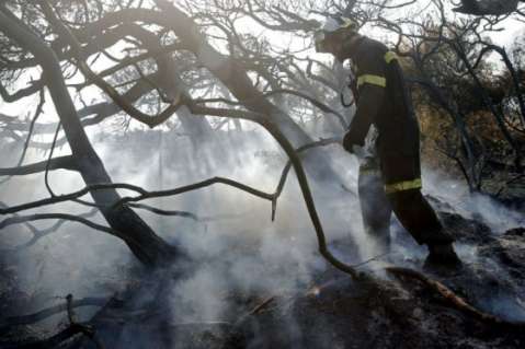 Al menos 600 hectáreas han sido arrasadas por incendios forestales en Caldas