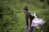 Cerca de un millón de venezolanos indocumentados podrán vacunarse en Colombia