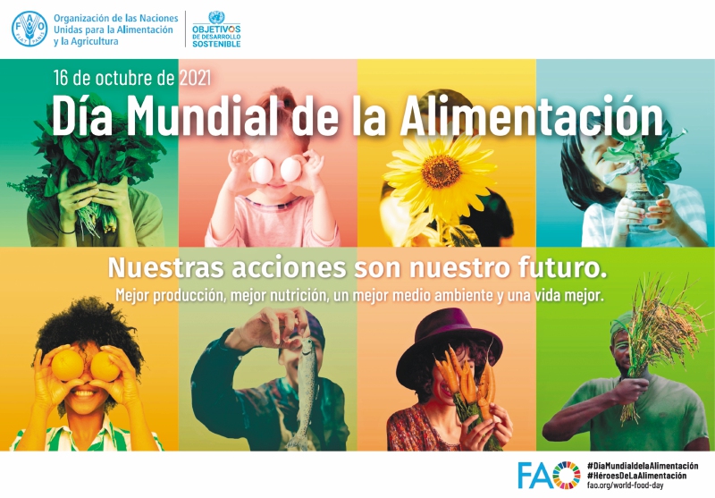 Los sistemas agroalimentarios emplean a 1.000 millones de personas en el mundo /FAO