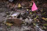 Operativo militar en Putumayo: ¿Qué dicen las organizaciones sociales?