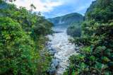 2024, un año clave para el agua, la biodiversidad y las energías renovables