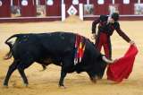 Más de 700.000 firmas piden que la tauromaquia deje de ser patrimonio cultural en España