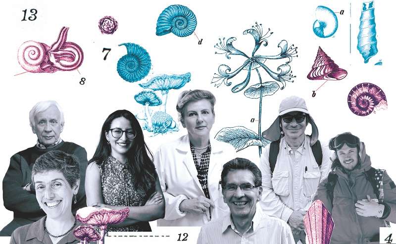 Los científicos que participaron en esta campaña. De izquierda a derecha: Rodolfo Llinás, Tatiana Toro, Andrea Guzmán, Elena Stashenko, Carlos Rodríguez, Carlos Jaramillo, Juan Diego Soler. / Collage: Sebastián Torres con fotos de cortesía.