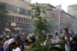 Es momento de la legalización