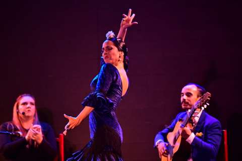 En fotos: así fue el último día del Festival Flamenco de Bogotá 2023