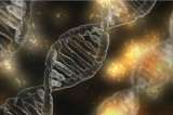 Nuevas pruebas genéticas demuestran que los humanos siguen evolucionando