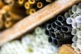En imágenes: así es el hotel de abejas que hay en Bogotá