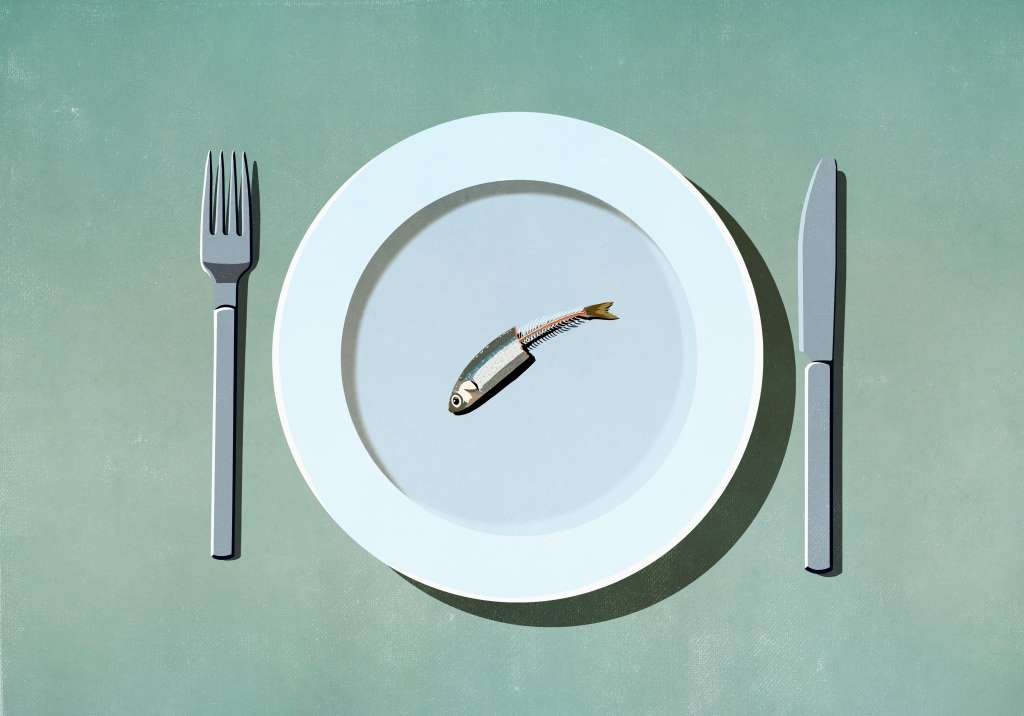 Alimentación
