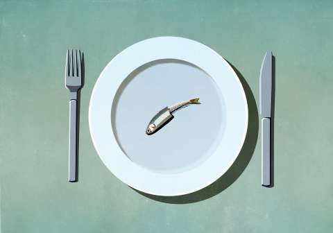 En Colombia menos personas pasaron hambre en 2025, pero 12 millones siguen en riesgo