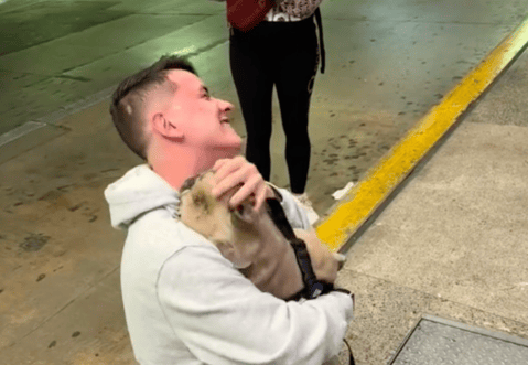 (Video) Perrito recibe a su dueño, luego de estar separado de él por siete meses