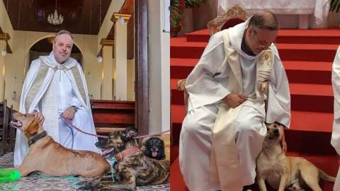 ¿Perros en el altar? La labor de la Iglesia católica en la protección y el rescate animal