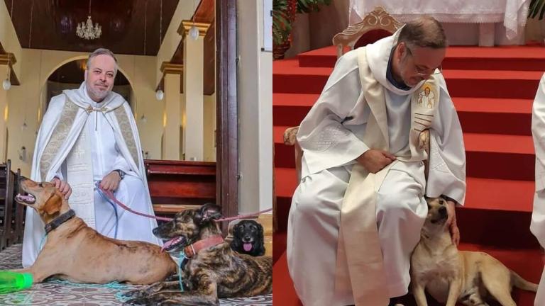 ¿Perros en el altar? La labor de la Iglesia católica en la protección y el rescate animal
